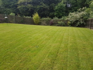 grass cutting south lanarkshire